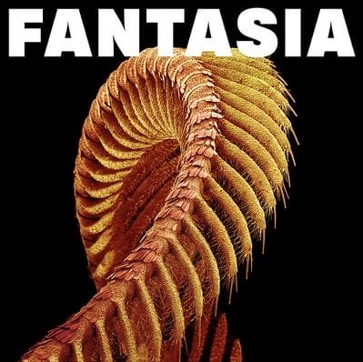 FANTASIA (2LP) (LIMITED LOSER EDITION) (MUSTARD VINYL)