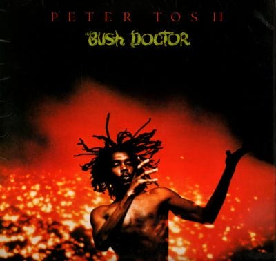 BUSH DOCTOR (USED VINYL)