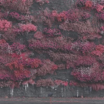 EVEN IN ARCADIA (CD)