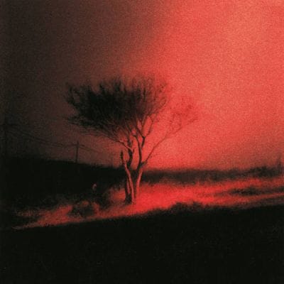 PISS IN THE WIND (CD)