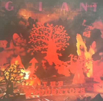 GIANT (USED VINYL)