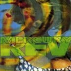 YERSELF IS STEAM / CAR WASH HAIR (CD)