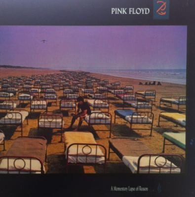 MOMENTARY LAPSE OF REASON (USED VINYL)