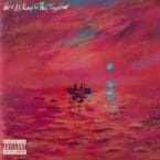 WE'RE ALL ALONE IN THIS TOGETHER (2LP) (VINYL)