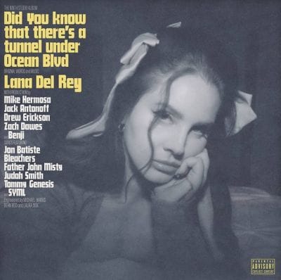 DID YOU KNOW THAT THERE'S A TUNNEL UNDER OCEAN BLVD (2LP) (VINYL)