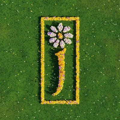 NOTHING BUT LOVE - THE DEFINITIVE BEST OF (2LP) (VINYL)