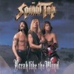 BREAK LIKE THE WIND (VINYL)