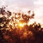 CLASSIC LOVE EP (VINYL)