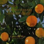 VIOLET BENT BACKWARDS OVER THE GRASS (CD)