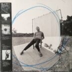 COLLECTIONS FROM THE WHITEOUT (2LP) (VINYL)