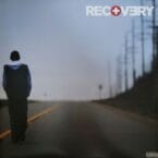 RECOVERY (2LP) (VINYL)