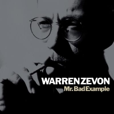 MR BAD EXAMPLE (VINYL)