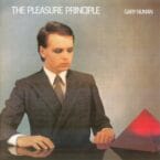 PLEASURE PRINCIPAL (CD)