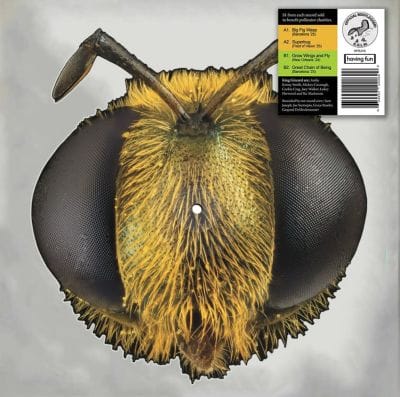 BIG FIG WASP (PICTURE DISC) (RECORD STORE DAY 2026) (VINYL)