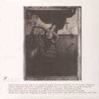 SURFER ROSA (VINYL)