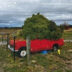 SOMETHING GOOD IS HAPPENING (CD)