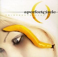 THIRTEENTH STEP (CD)