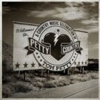 PETTY COUNTRY - A COUNTRY MUSIC CELEBRATION OF TOM PETTY (2LP) (LIMITED EDITION) (EVERGREEN VINYL)