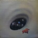 LONG MISTY DAYS (USED VINYL)