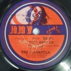 TURN YOUR BACK ON THE WIND (USED VINYL) (CONDITION FAIR)