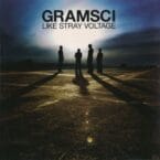 LIKE STRAY VOLTAGE (USED CD)