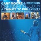 ONE NIGHT IN DUBLIN (USED DVD)