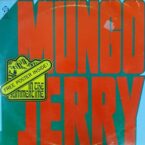 IN THE SUMMERTIME (USED VINYL) (CONDITION FAIR)