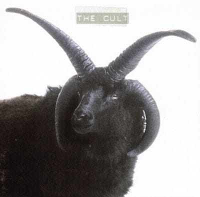 CULT (USED CD)