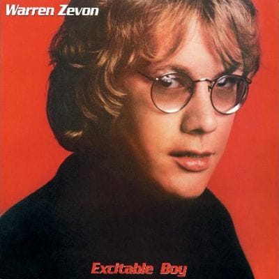 EXCITABLE BOY (USED VINYL)