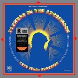 FLOWERS IN THE AFTERNOON - LATE 1960S SUNSHINE (VINYL) (BLACK FRIDAY 2025)