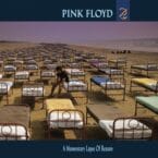 MOMENTARY LAPSE OF REASON (CD)