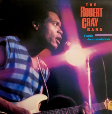 FALSE ACCUSATIONS (USED VINYL)