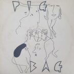 PIGBAG (USED VINYL) (COVER CONDITION FAIR)