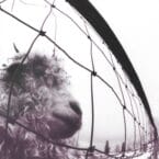 VS (2011 REISSUE) (USED VINYL)