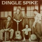 FAR FROM HOME (USED VINYL)