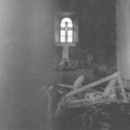 PEACE AND NOISE (USED CD)