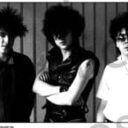 GROUP HOLLAND 1982 (POSTER)