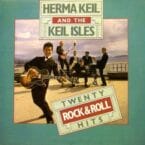 TWENTY ROCK AND ROLL HITS (USED VINYL)