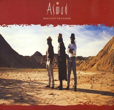 DISTANT THUNDER (USED VINYL)
