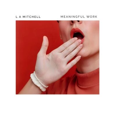 MEANINGFUL WORK (CD)