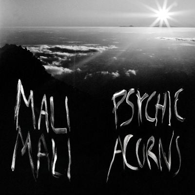 PSYCHIC ACORNS (2LP) (VINYL)